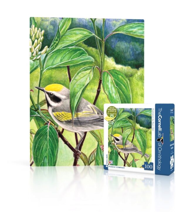 Golden-winged Warbler Mini 100