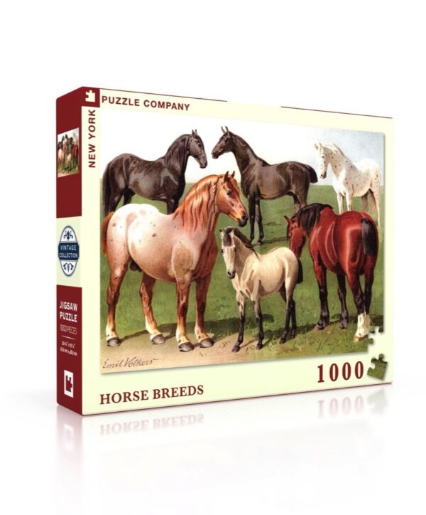 Horse Breeds 1000