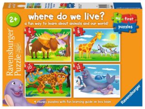 My First Puzzles: Where Do We Live?