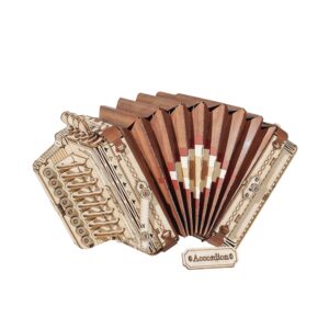 3D Puzzle: Accordion