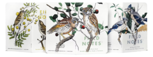 Field Notes: Birds & Trees of N. America – Pack A