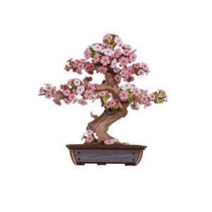 Wooden Puzzle: Sakura Bonsai